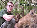 COUGAR RESCUE! Backyard Big Cats