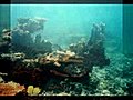 Undersea Garden: Samoa, 2004