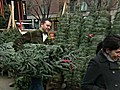 Buy Christmas Trees Online?