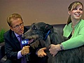 Westminster Kennel Club Dog Show - The Media Tour