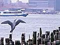 The Hudson River Waterfront