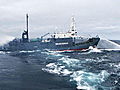 Whale Wars: Stern Line Trips Up Whalers