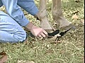 Hoof Wraps is hoof care made easy