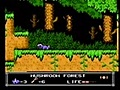 Little Nemo: The Dream Master (NES) - 0:30:50 - Ryan Kusnery (2006)