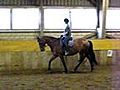 Reiten 21.5.11