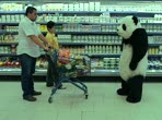 Arab Dairy : Supermarket 1