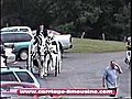 Carriage Limousine Service - Horse Drawn Carriages - Cinderella Carriage 2b