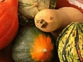 How to Prepare and Cook WinterSquash