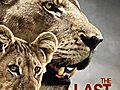 The Last Lions