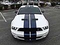 2008 Ford Shelby GT500 Mustang Overview