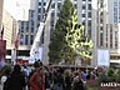 Christmas Tree arrives Rockefeller Center