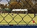 Student 'hanged'  in bullying