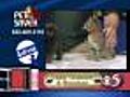 6/22 Petsaver: The 3 Cats