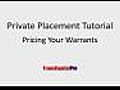 Private Placement Tutorial - Pricing Your Warrants