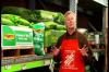 How to Fertilize Your Lawn  The Home Depot