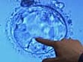 Stem cell debate heats again