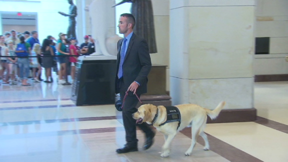 2010: Puppies helping veterans