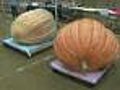 Giant Pumpkin Weigh Off At Topsfield Fair