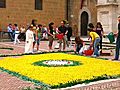 Pienza, Italy - Infiorata, the Festival of Flowers