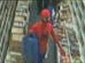 &#039;Spiderman&#039; Makes Citizen’s Arrest At Comic Store