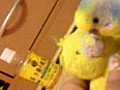 動画～空君のお気に入り(*^□^*)