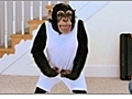 Mikey the Chimp Gets Sexy