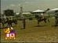 Black-Eyed Susan Friday Brings Preakness Frenzy