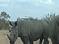 A morning drive in Kruger NP