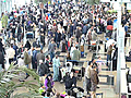 Tourists Trapped in Egypt