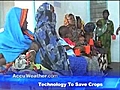 Kenya: Technology Saves Crops