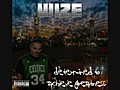 Wize Hassan- Pure Enjoyment