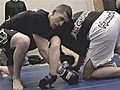 UFC Live open workouts