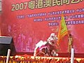 粵港澳民間藝術邀請賽2007