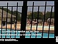 Vidéo Buzz: Il se jette dans une piscine municipale entièrement nu !