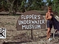 Flipper’s Underwater Museum