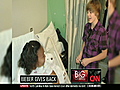 &#039;The Biebs&#039; gives back