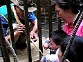 [05.04.17] 경기 일산 테마동물원에서 구렁이 만지기