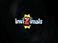 Invizimals