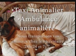 Transport animaux  de compagnie tel 01 43 08 15 50,neuilly sur marne,taxi animaliers a neuilly sur marne,ambulance animaliere a neuilly sur marne,