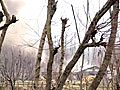 J&K: Encounter in Pulwama,  one jawan injured