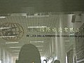 金凱國際旅遊稱永不錄用強迫旅客購物女導遊