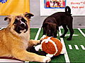 Puppy Bowl VII: Puppy Bowl VII Music Video