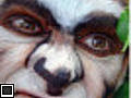 maquillage  animal  singe