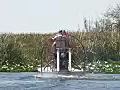 Royalty Free Stock Video HD Footage Airboat Moves Through the Sawgrass in the Florida Everglades