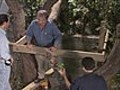 How to Build a Treehouse