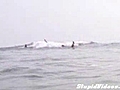 Shark Plays Jump The Surfer