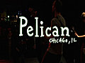 We Have Signal: Pelican