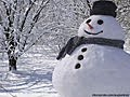 Woman calls 999 over stolen snowman (lol)