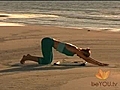 Yoga Shakti - Basic Flow