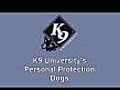 K9U Protection Dogs - Annie